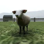 Crazy Cattle 3D Unblocked